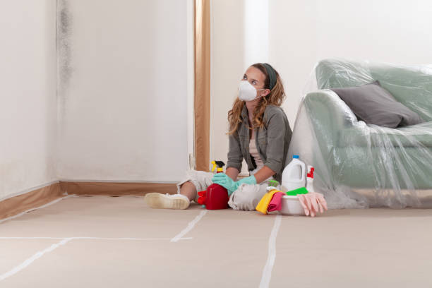 Reliable Black Mold Remediation contractor in Woodbine, MD by Mold Remediation HQ